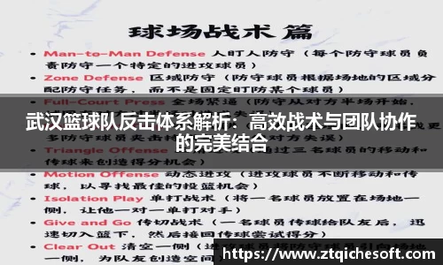 中欧体育