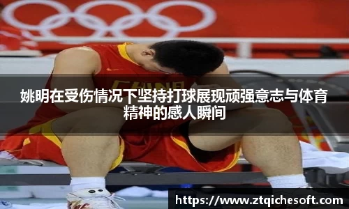 zoty中欧官方网站